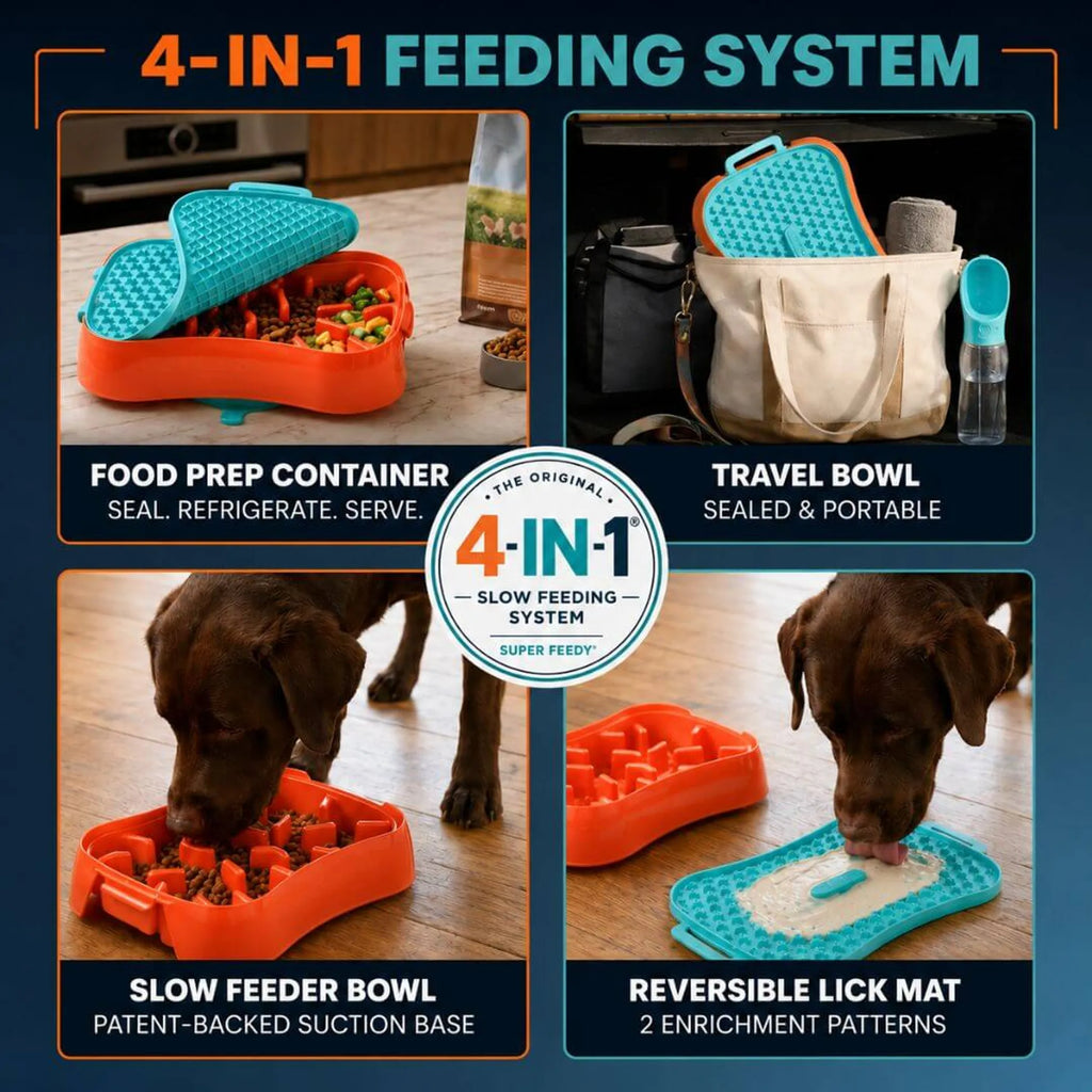 Super Feedy 4-in-1 Slow Feeding System