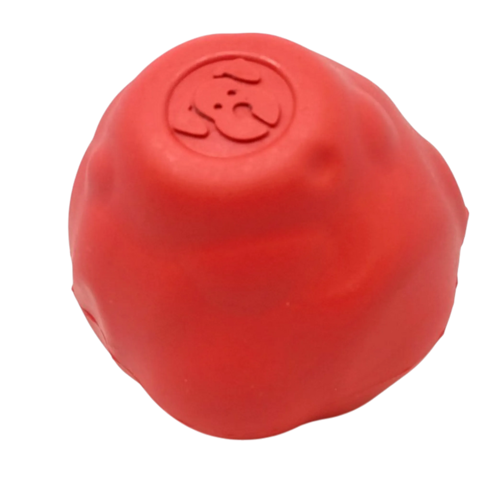 Asteroid Ultra Durable Rubber Chew Toy