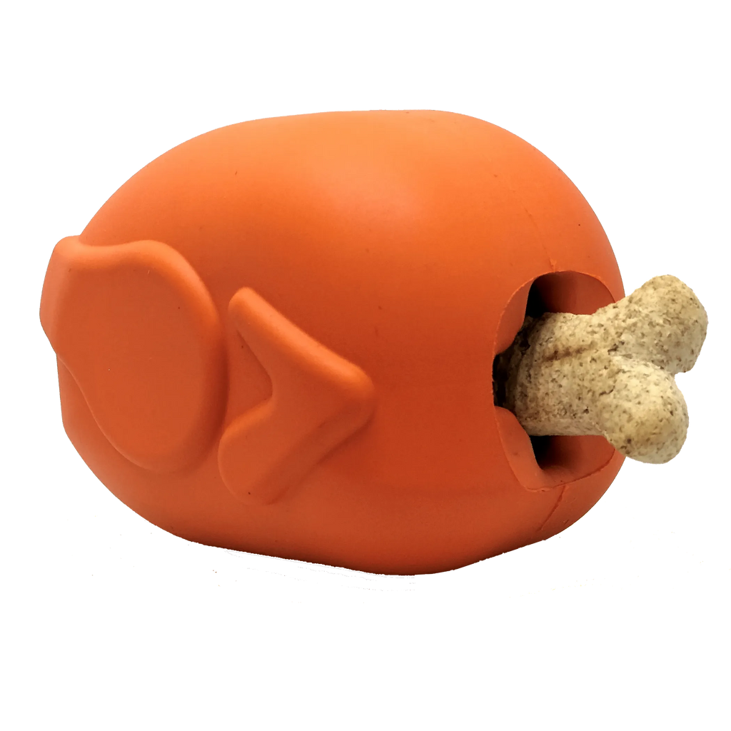 Roasted Turkey Dog Chew Toy & Treat Dispenser