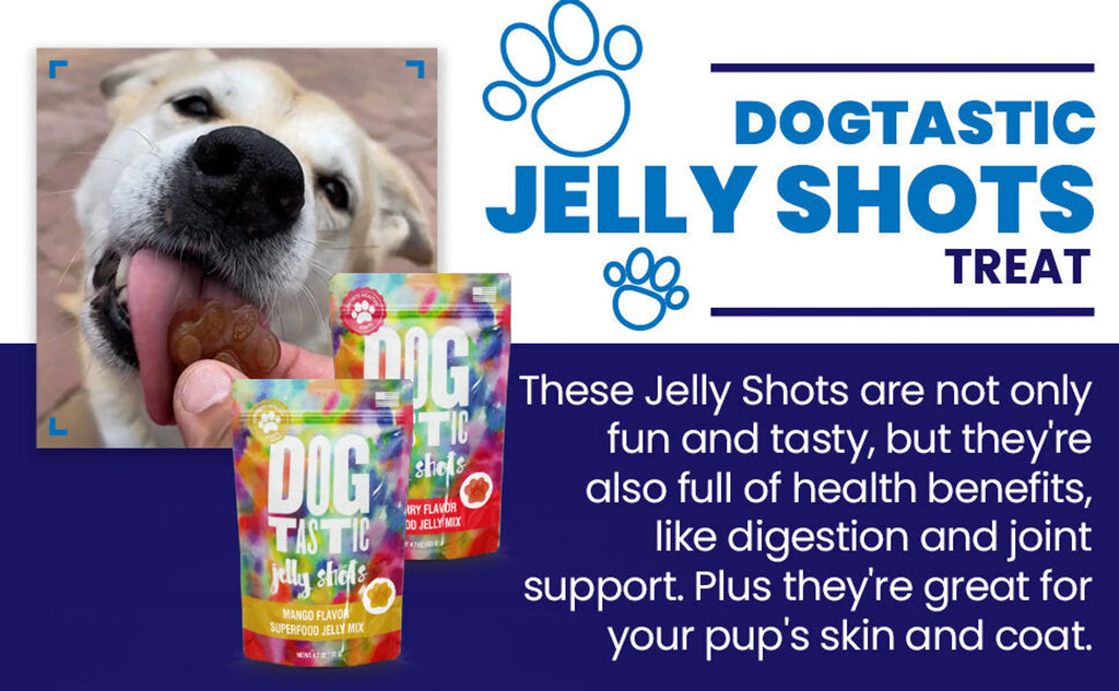 Dogtastic Jelly Shots Silicone Mold - Christmas Shapes