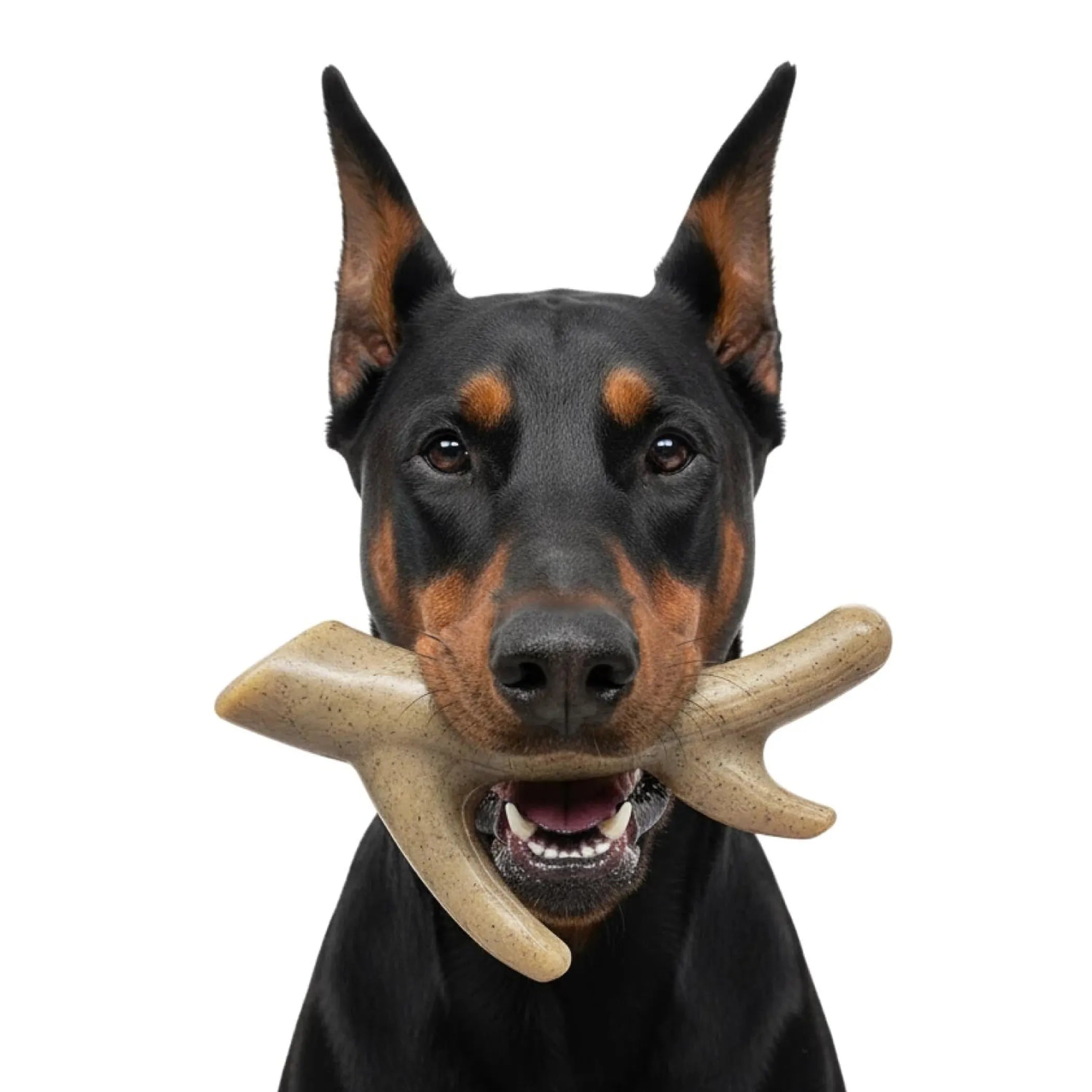 Ever Antler Nylon Chew Bone | Elk Antler Shaped Dog Toy for Aggressive Chewers