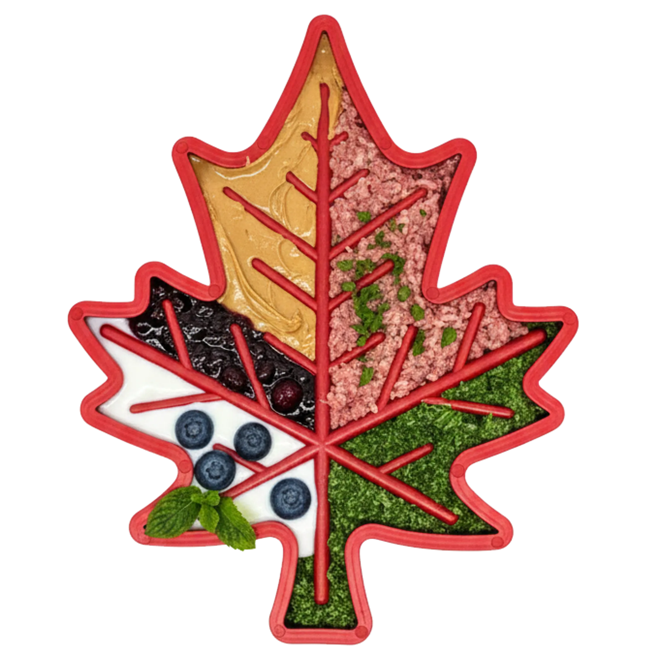 Canadian Maple Leaf Nylon Dog Chew Toy