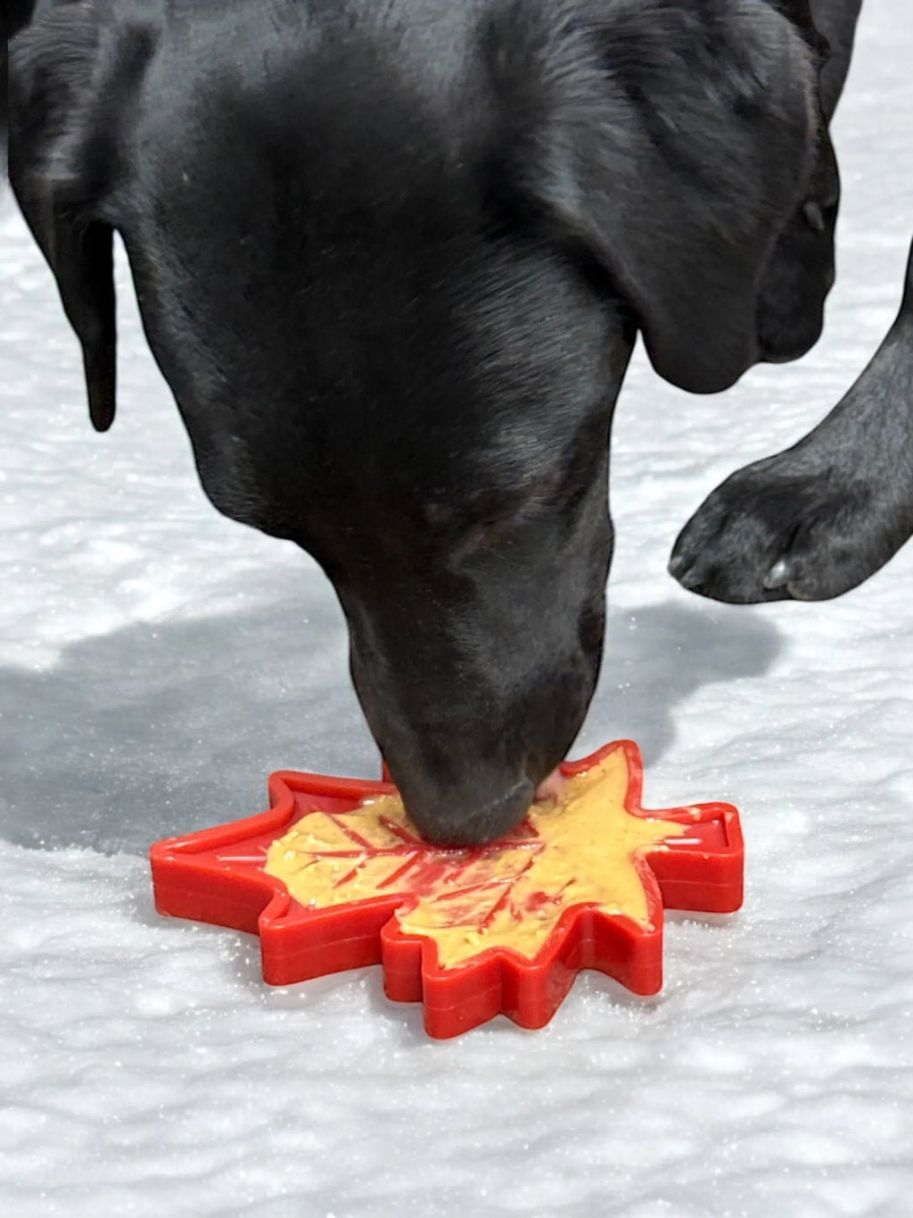 Canadian Maple Leaf Nylon Dog Chew Toy