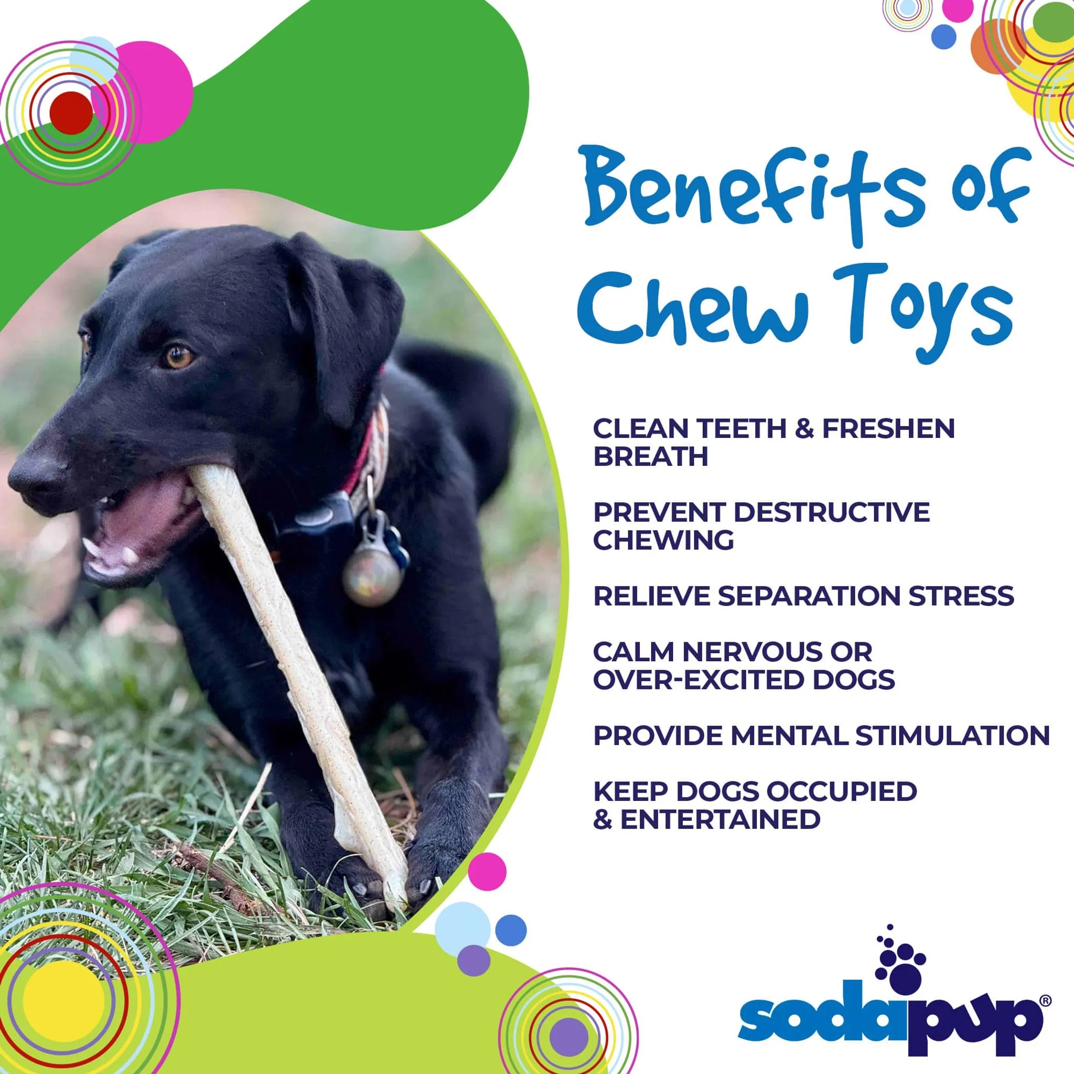 Durable Nylon Chew Stick for Power Chewers | Indestructible Dog Toy