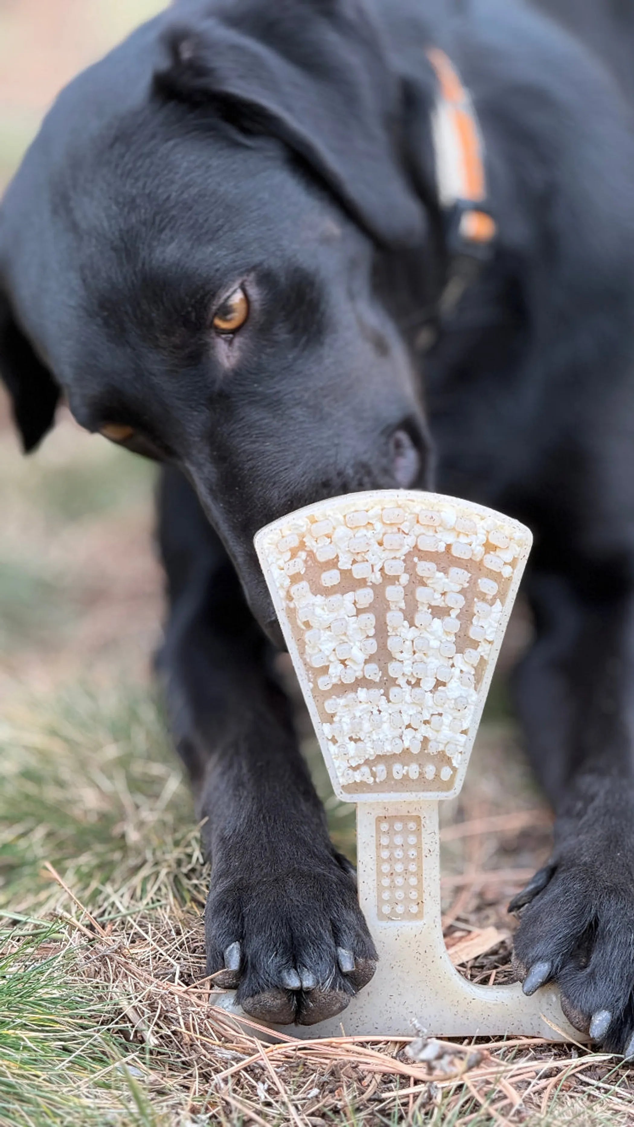 Waffle Tower Nylon Chew & Enrichment Toy | 2-in-1 for Aggressive Chewers