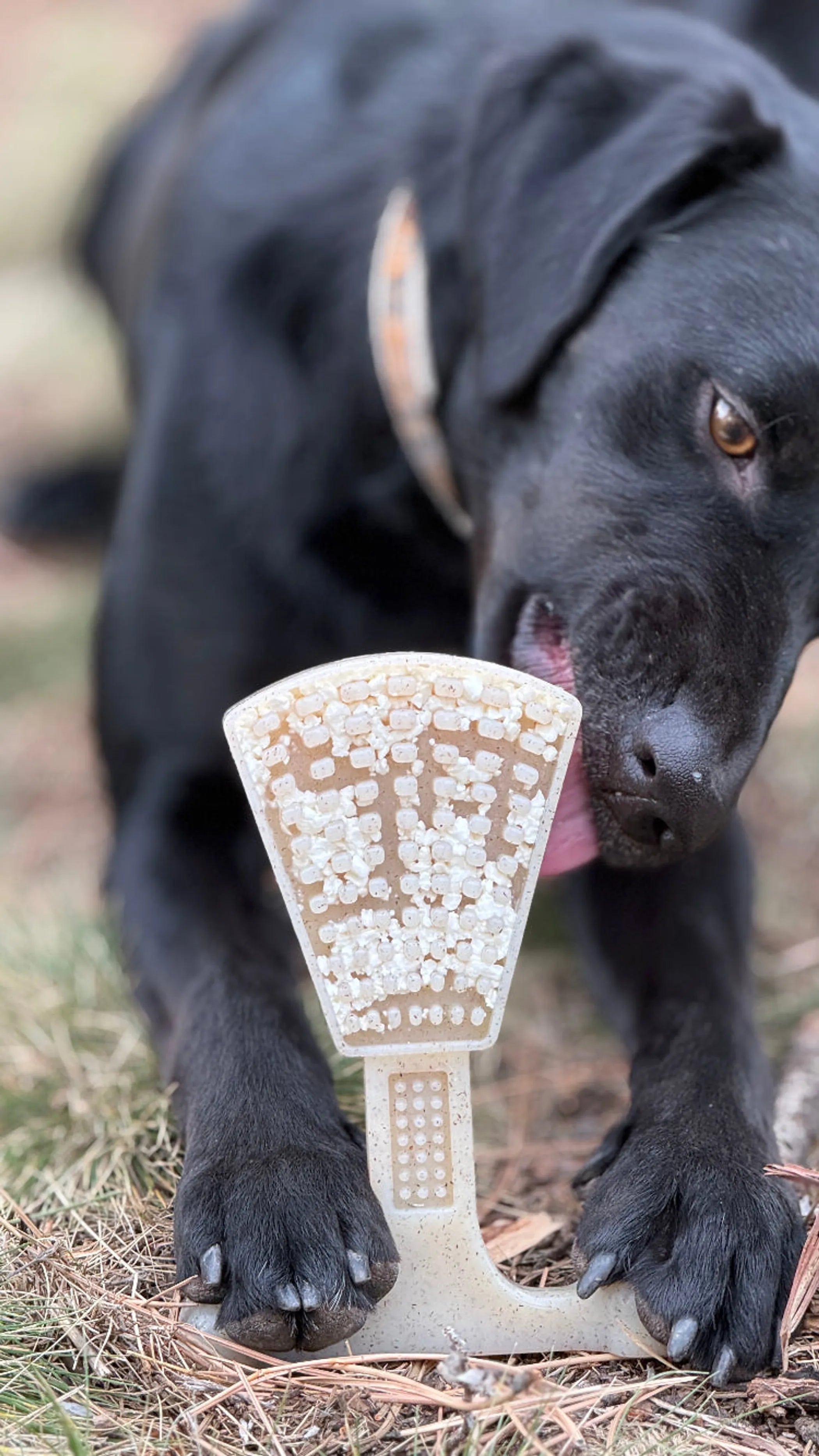 Waffle Tower Nylon Chew & Enrichment Toy | 2-in-1 for Aggressive Chewers