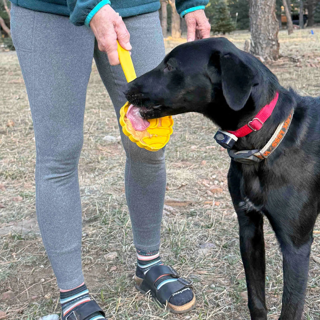 eStick Hand-Held Dog Enrichment Toy - Interactive Lick Stick