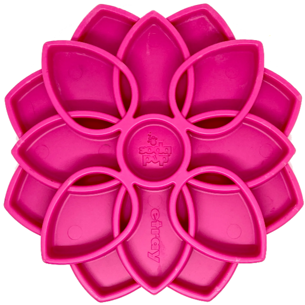 Mandala eTray Shallow Slow Feeder Dog Bowl for Enrichment