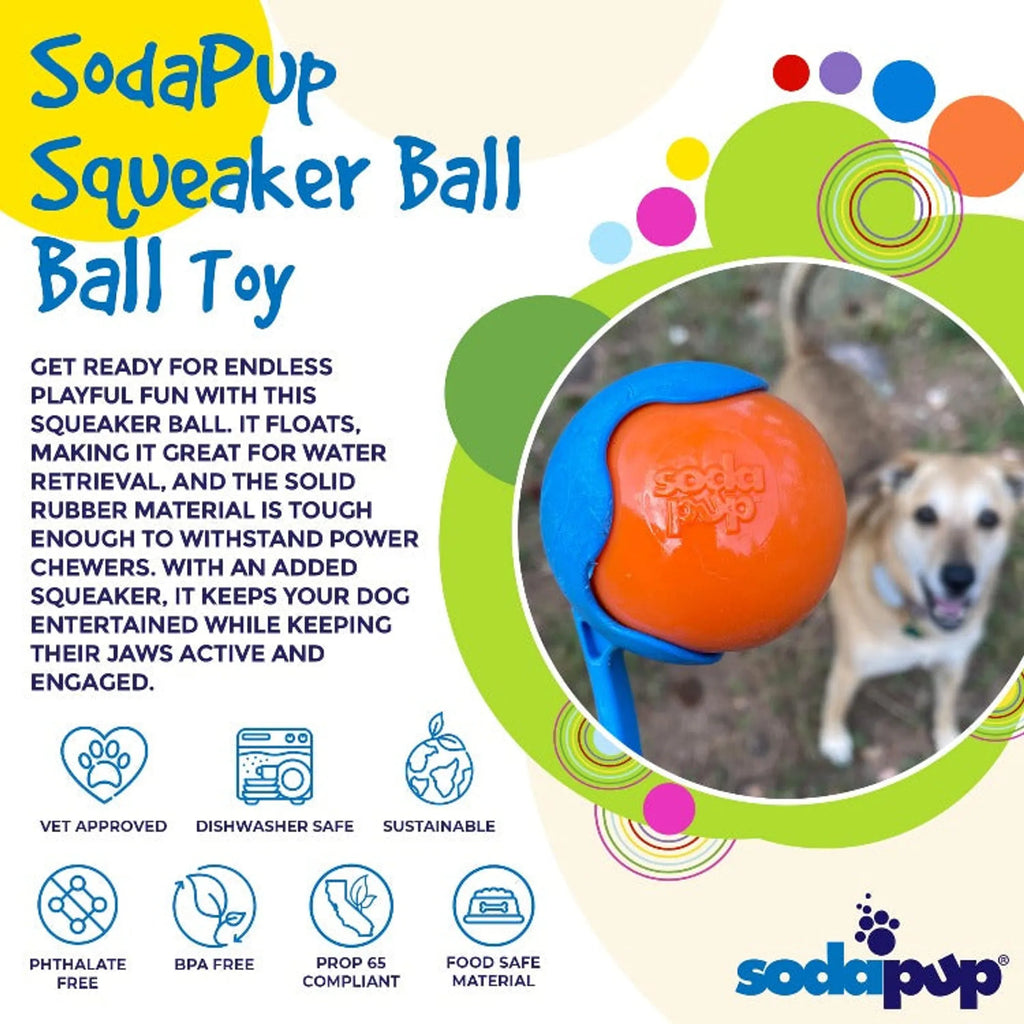 Squeak Ball - Durable Squeaky Dog Toy, Floats, Chew Toy