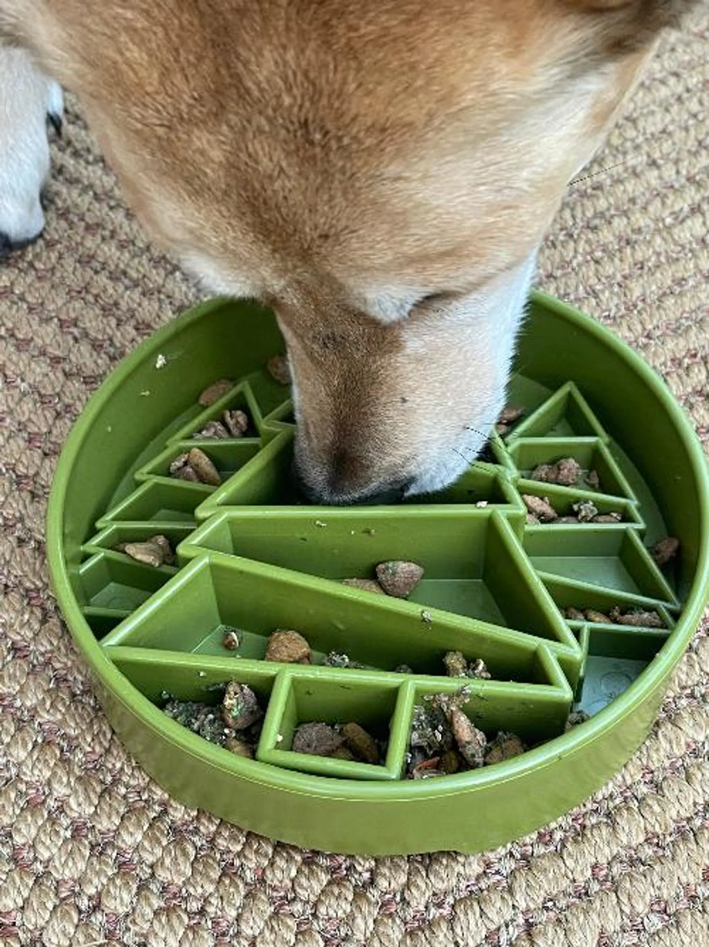 Pine Tree Christmas eBowl Deep Slow Feeder Dog Bowl for Enrichment