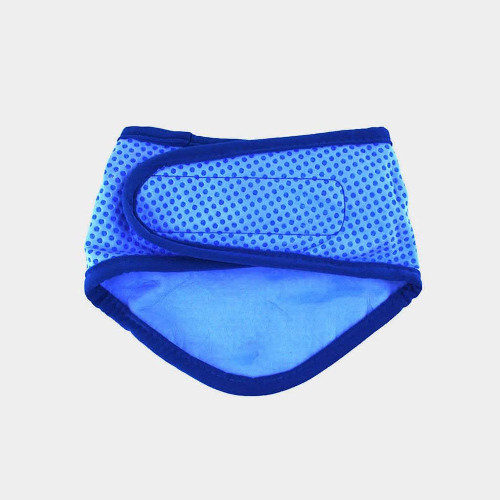 GF Pet  Ice Band