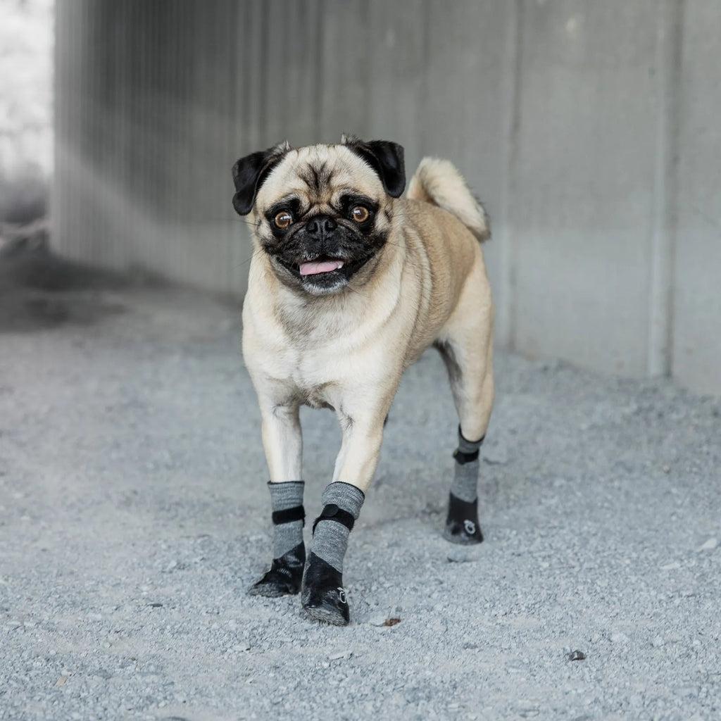 GF Pet Dog Booties  Grey