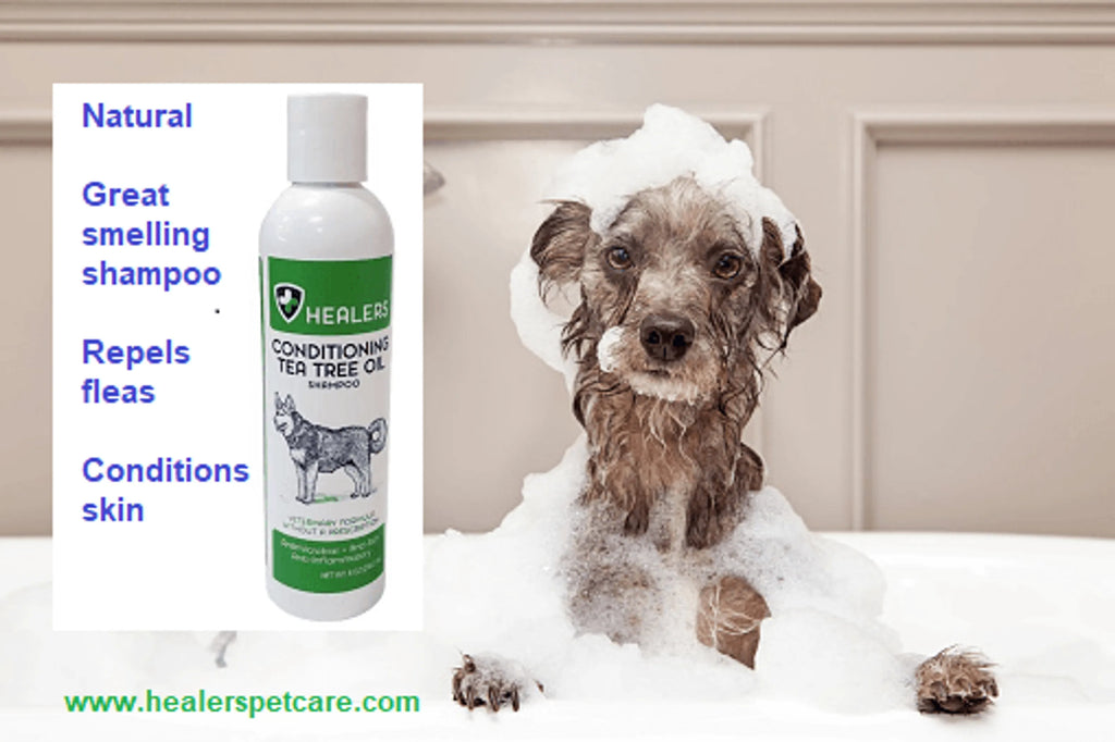 Healers Tea Tree Oil Conditioning Shampoo for Pets (8oz)